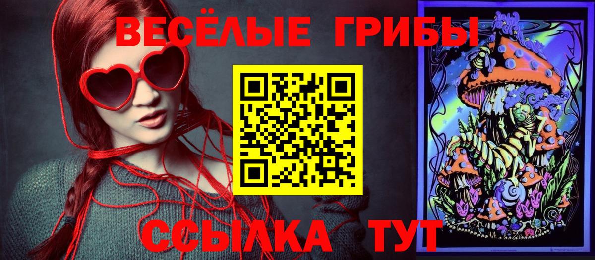 Псилоцибиновые грибы GOLDEN TEACHER Кисловодск