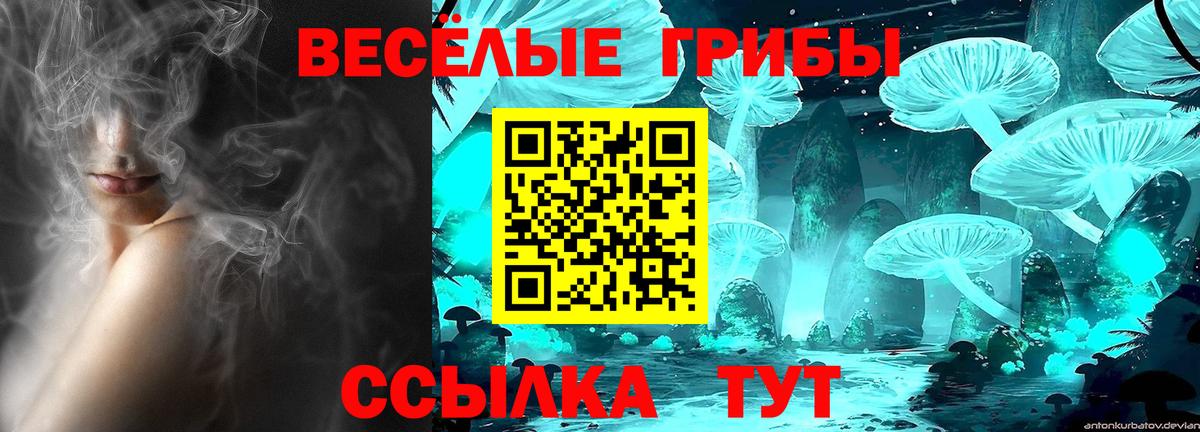 Кисловодск  закладка  Галлюциногенные грибы Psilocybine cubensis  Вход с VPN  Галлюциногенные грибы Psilocybine cubensis 