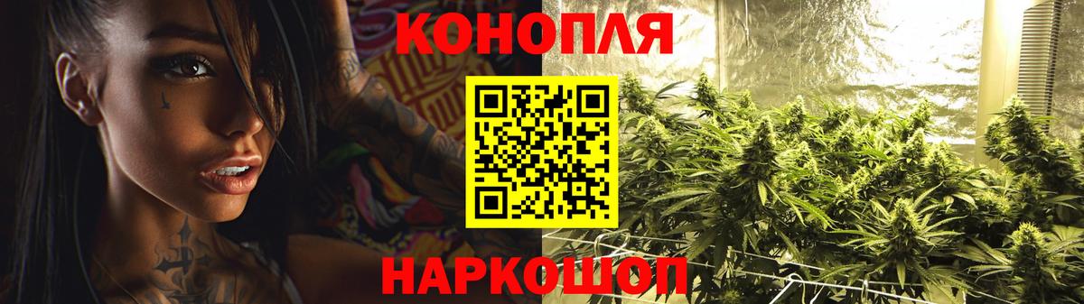 Каннабис ГИДРОПОН  Марихуана White Widow  Кисловодск  Вход с VPN  Канабис гибрид 